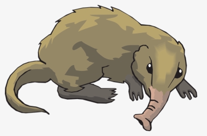 Long, Tail, Animal, Fur, Shrew, Nosed - Shrew Clipart, HD Png Download, Transparent PNG
