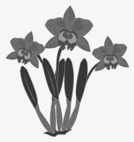 Transparent Flower Headband Png - Flower Orchid Clipart Black And White, Png Download, Transparent PNG