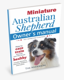 Miniature Australian Shepherd Owner S Manual - Dog Catches Something, HD Png Download, Transparent PNG