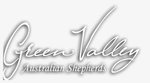 Australian Shepherd, Australian Shepherds In Utah - Calligraphy, HD Png Download, Transparent PNG