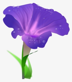 Iris Flower Clip Art - Morning Glory Flower Clipart, HD Png Download, Transparent PNG