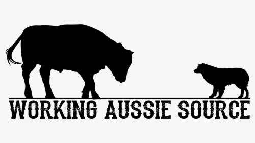 Image - Australian Shepherd Herding Silhouette, HD Png Download, Transparent PNG