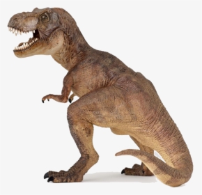 Dinosaur Tyrannosaurus Rex Yangchuanosaurus Carnivore - Colour Is At Rex, HD Png Download, Transparent PNG