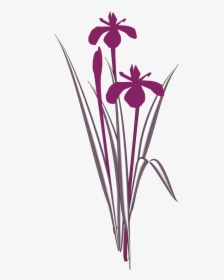 Simple Iris Flower Clipart, HD Png Download, Transparent PNG
