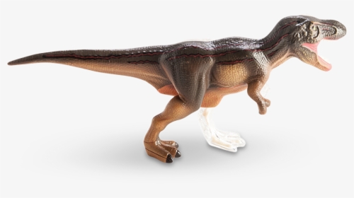 4d Vision T-rex Anatomy Model - Anatomy, HD Png Download, Transparent PNG