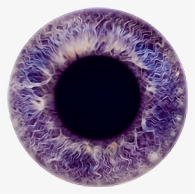 #eye #eyecolor #purple #violet #lavender #color #iris - Violet Eyes Transparent Background, HD Png Download, Transparent PNG