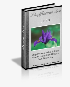 Iris Flowers, HD Png Download, Transparent PNG