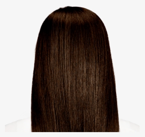 Backie Bolzano Brown 4nmg Hair - Lace Wig, HD Png Download, Transparent PNG