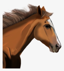 Download Horse Png Transparent Images Transparent Backgrounds - Race Horse Head Png, Png Download, Transparent PNG