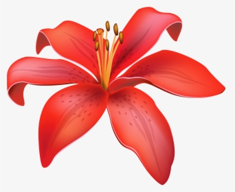 Red Lily Flower Png Clipart - Lily Flower Vector Png, Transparent Png, Transparent PNG