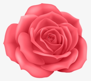 Rose Png - Rose Flowers Cartoon Png, Transparent Png, Transparent PNG