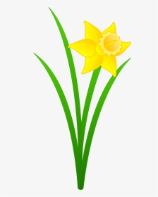 Flower Png Vector Clipart - Daffodil Flower Clip Art, Transparent Png ...