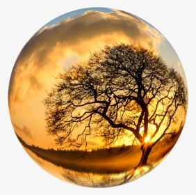 Download Earth Nature Png Photo 1 For Designing Purpose - Lone Tree Hd, Transparent Png, Transparent PNG