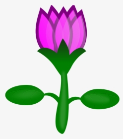 Calligraphy Lotus Medium 600pixel Clipart, Vector Clip - Cartoon Plants Transparent Background, HD Png Download, Transparent PNG