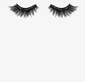 Eyelash Extensions We Heart It Eyebrow Beauty - Coming To Lash Appointment Without Clean Lashes, HD Png Download, Transparent PNG