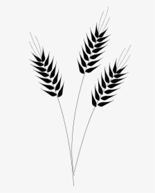 Stalk Clipart Rice - Wheat Black And White Clipart, HD Png Download, Transparent PNG