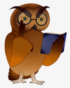 Owl Clip Art Owlet - Owl, HD Png Download, Transparent PNG