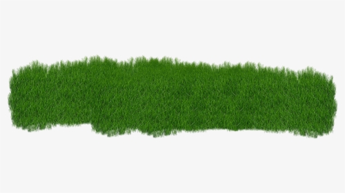 Grass Green Plant Green Grass Nature Summe - Lawn, HD Png Download, Transparent PNG