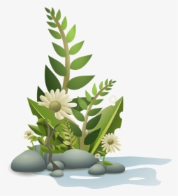 Plants, Flower, Flowers, Cartoon, Free, Plant, Tropical - Plants Clipart, HD Png Download, Transparent PNG