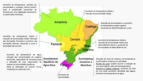 Thumbnail - Mapa Dos Biomas Brasileiros, HD Png Download, Transparent PNG