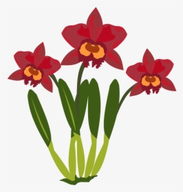Free To Use Public Domain Orchid Flower Clip Art - Cartoon Picture Of Orchid Flower, HD Png Download, Transparent PNG