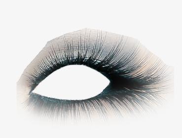 Eyeshadow Eyelashes Lashes Lash - Eye Makeup Transparent Background, HD Png Download, Transparent PNG
