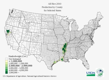 Arkansas Rice Fields, HD Png Download, Transparent PNG