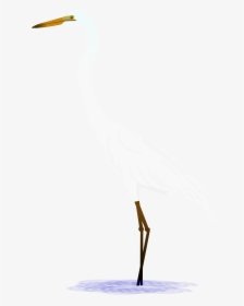 Heron Vector Egret - Great Egret, HD Png Download, Transparent PNG