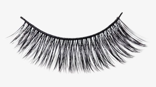 Cruelty-free Eyelash Extensions Cosmetics - Free Eyelashes Transparent Background, HD Png Download, Transparent PNG