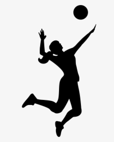 Collection Of Player - Volleyball Silhouette, HD Png Download, Transparent PNG