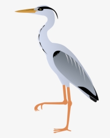 Great Blue Heron Clipart, HD Png Download, Transparent PNG