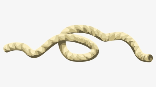 Rope, String, Cord, Cable, Tied, Twine, White - String Rope Transparent, HD Png Download, Transparent PNG