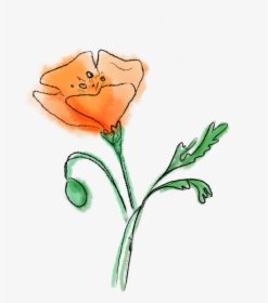 Picture - Sketch, HD Png Download, Transparent PNG