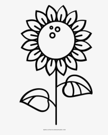 Sunflower Coloring Page - Asp Convent English High School Logo, HD Png Download, Transparent PNG