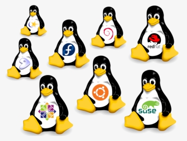 Linux Distros Png, Transparent Png, Transparent PNG