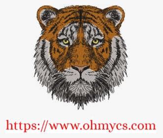 Siberian Tiger, HD Png Download, Transparent PNG