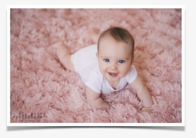 Pittsburgh 6 Month Old Baby Pictures - 6 Months Old Photoshoot, HD Png Download, Transparent PNG