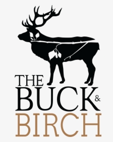 Birch Png, Transparent Png, Transparent PNG