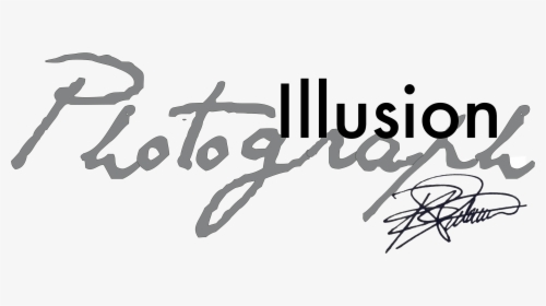 Calligraphy, HD Png Download, Transparent PNG