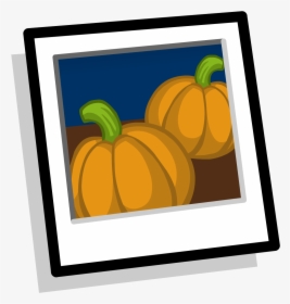 Club Penguin Wiki - Pumpkin, HD Png Download, Transparent PNG