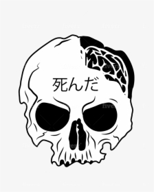 Skull, HD Png Download, Transparent PNG
