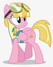 Picture Royalty Free Stock Artist Tomfraggle Clothes - Cadet Wonderbolt, HD Png Download, Transparent PNG