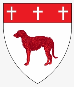 Dog, HD Png Download, Transparent PNG