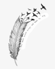# Pluma #aves #tumblr - Everything That's Broke Leave It To The Breeze Meaning, HD Png Download, Transparent PNG