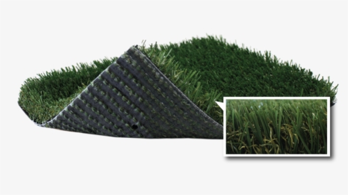Best In Show - Artificial Turf, HD Png Download, Transparent PNG