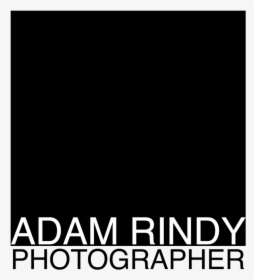Adam Rindy / Los Angeles Fashion Photographer - Presidio Group, HD Png Download, Transparent PNG