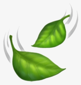 #emoji#leaves#nature - Falling Leaves Emoji, HD Png Download, Transparent PNG