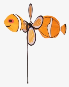 Image Of Baby Bug Clownfish, HD Png Download, Transparent PNG
