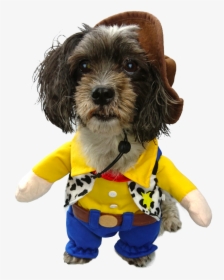 Transparent Buzz And Woody Png - Woody Costume For Dog, Png Download, Transparent PNG