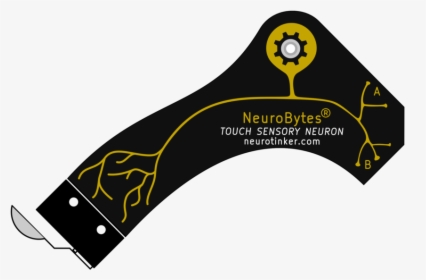 Neurobytes Touch Sensory Neuron - Mobile Phone, HD Png Download, Transparent PNG